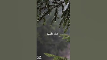 ايات من سورة الرحمان#قرآن #قران_كريم #فولو #لايك #ترند #اكسبلور