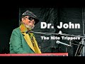 Dr john  the nite trippers  landmark music festival 2015 full concert