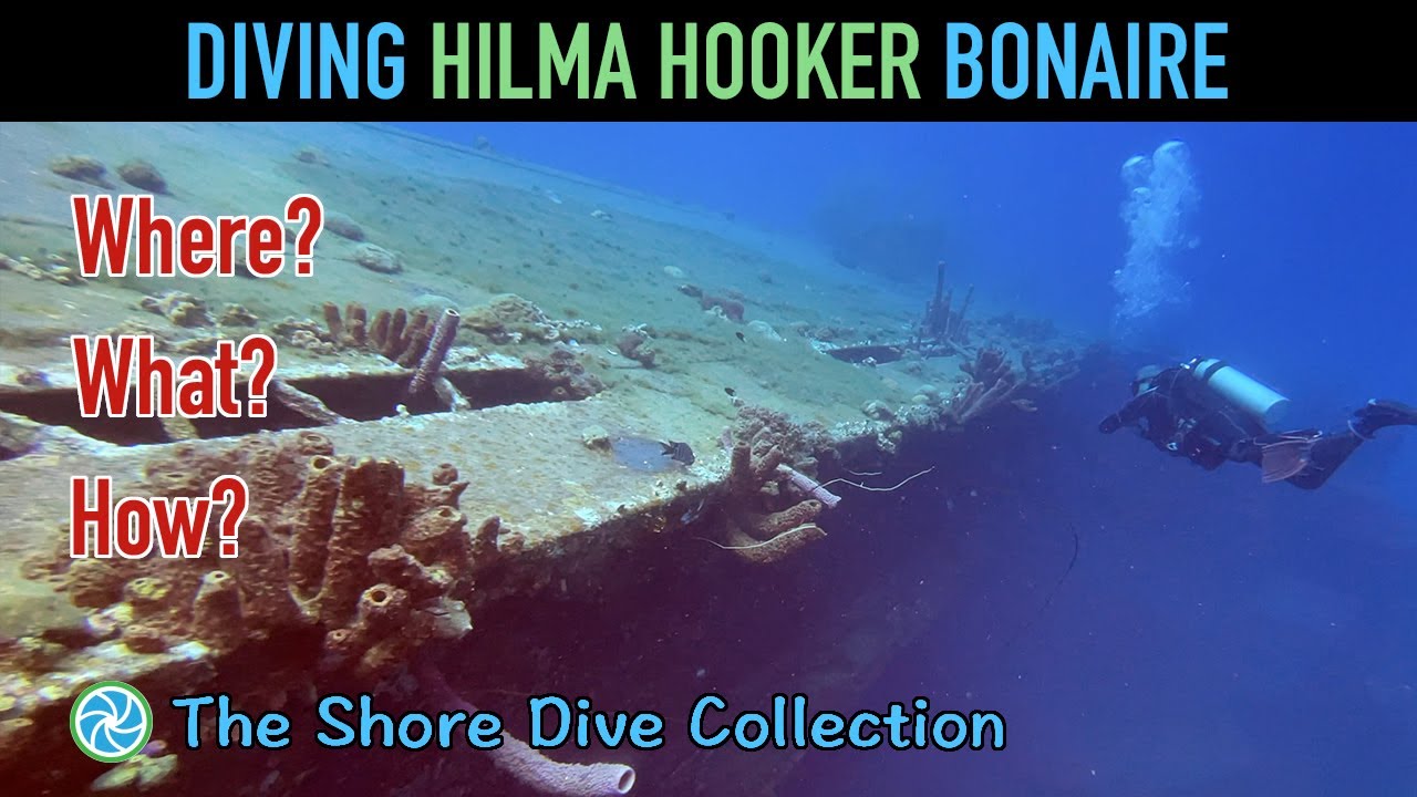 Diving Hilma Hooker Bonaire | The Shore Dive Collection | TropicLens - 4K