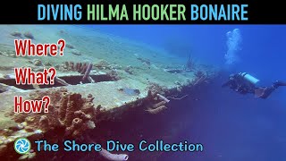 Diving Hilma Hooker Bonaire | The Shore Dive Collection | TropicLens  4K