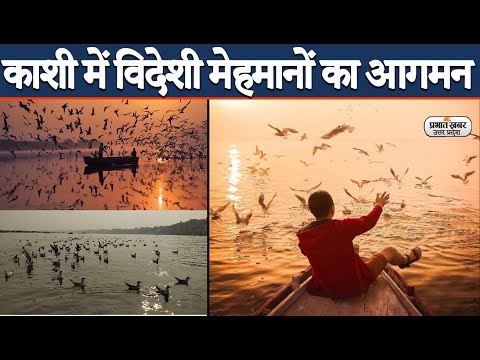 Varanasi News: वाराणसी में विदेशी मेहमानों का आगमन, यहां देखिए एक्सक्लूसिव वीडियो | Prabhat Khabar