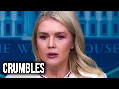 Trump Press Secretary SINKS As Devastating ICE Lies Proven Wrong