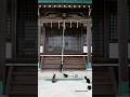 猫たちがお参りにきた🐾 Some cats came to visit the shrine⛩️
