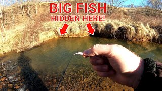 TROUT FISHING TIPS & TRICKS FOR CLEAR WATER || Trophy Trout Fishing