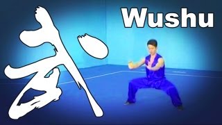 Nanquan Wushu 2012