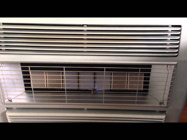 Everdure brigadier ECR natural gas heater - YouTube