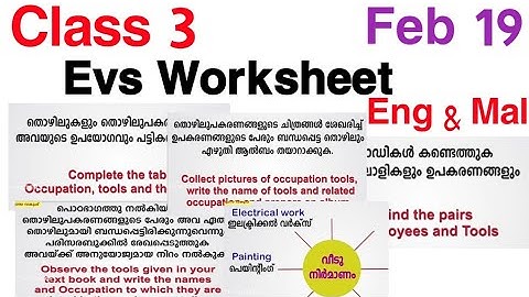 Class 3 Evs Worksheet Feb 19 | Std 3 Evs Worksheet | 3 class evs worksheet | evs worksheet |std 3