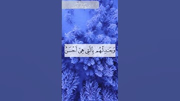 الصوت المزلزل للقارئ خالد الجليل يرتل آية من سورة النحل بأسلوب رائع #quran #islam