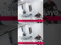 Security Video Shows K-9 'Alerts' To Cole Allen Before Ass*ssination Attempt