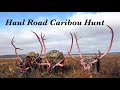 Alaska Haul Road Caribou Hunt