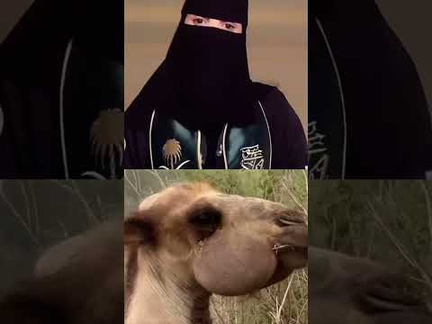 الا تعرفناء كل حاقه حقناء و الحضاراء والعروباء