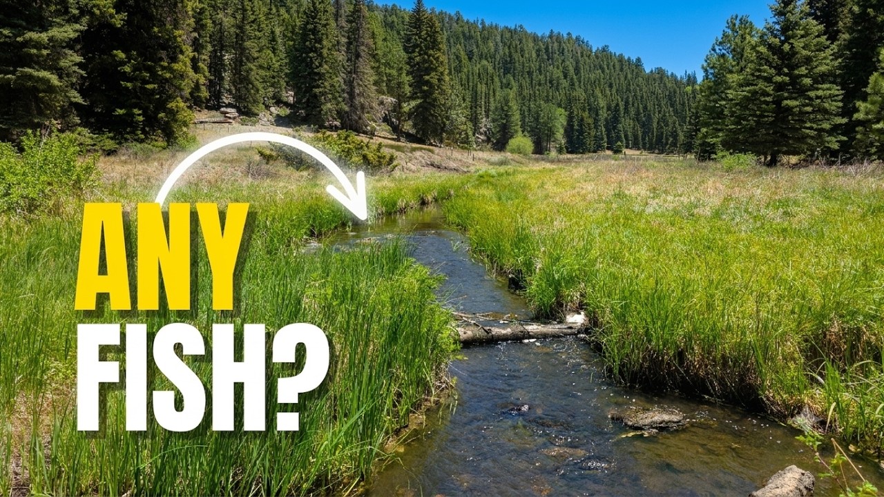 Hiking & Trout Fishing a Hidden New Mexico Mountain Stream