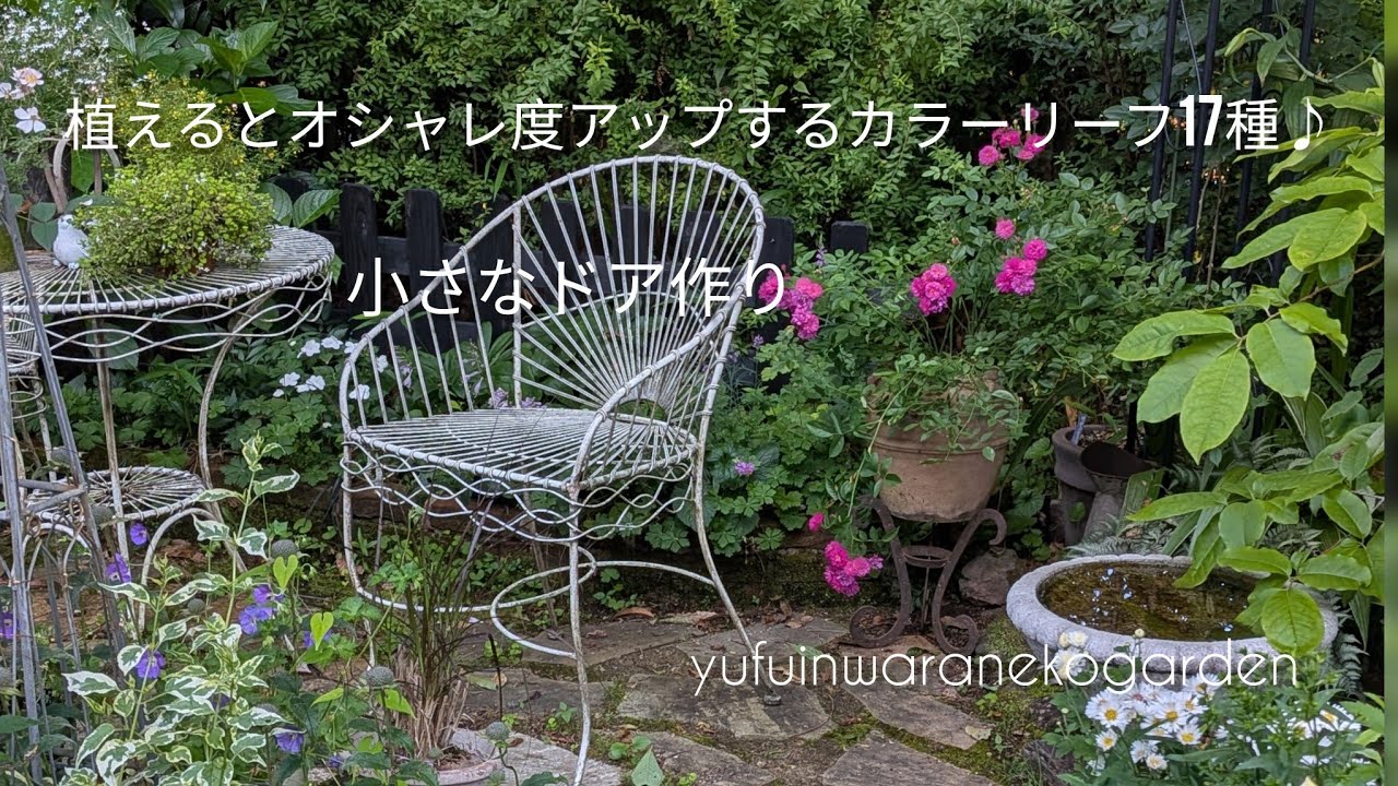 【2025.7】植えるとオシャレ度アップするカラーリーフ17種!小さなドア作り