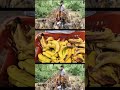 जय श्री राम 🚩🚩#reels #monkey #trend #trendingshorts #animals #hanuman #shreeram #love