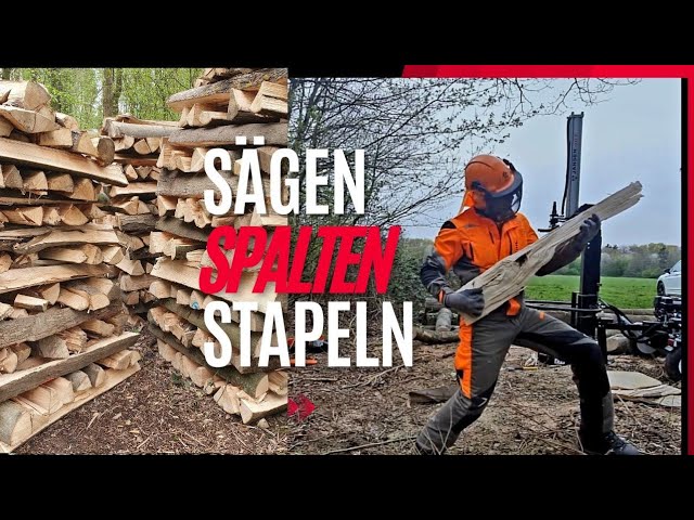 Holzspalter Jansen® TS-30K, 30 t KOMBIGERÄT (Zapfwelle+Elektromotor),  Traktorspalter, Stammheber 