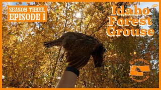 Idaho Forest Grouse (Hunting)  Season III Episode I