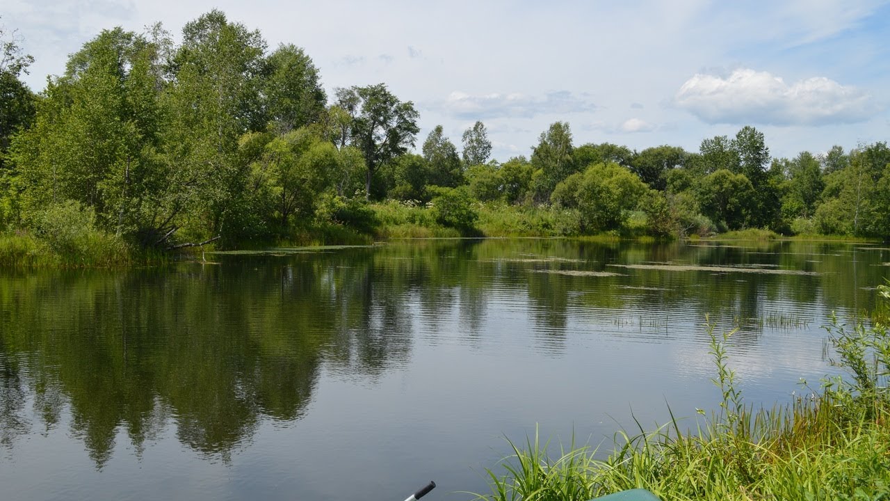 Дальнереченский район село