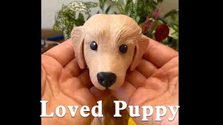 Turn my loved Golden Retriever puppy into Clay - part 1 |  Clay Art Net Worth