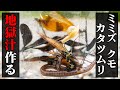 【大量投入】ミミズ、カタツムリ、クモ etc...で地獄のスープ作るわ