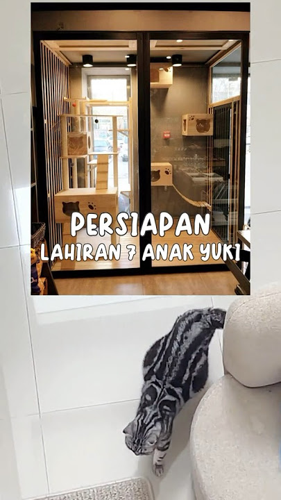 Degdegan bentar lagi lahiran yuki🥹🥹