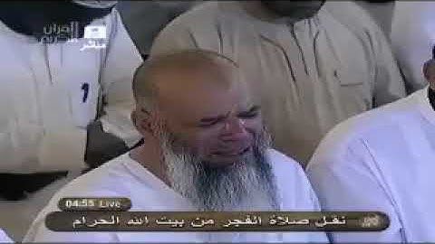 تلاوة جميلة جدًا للشيخ خالد الغامدي إمام الحرم المكي || تلاوات ذهبية