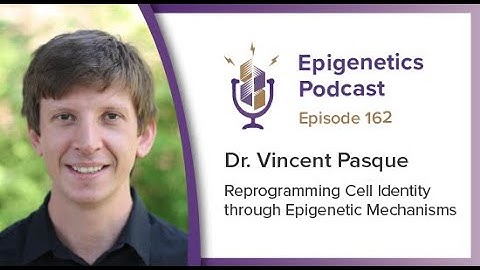 Epi Podcast #162 - Reprogramming Cell Identity through Epigenetic Mechanisms with Vincent Pasque