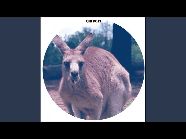 Skippy (Vital Techniques Remix)