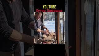 синички на хуторе #птицы #дача #хутор