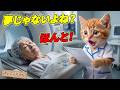 【感動】倒れたおばあちゃんを助けたここにゃん…看護師になって届けた“奇跡の知らせ”に涙😭🏥✨