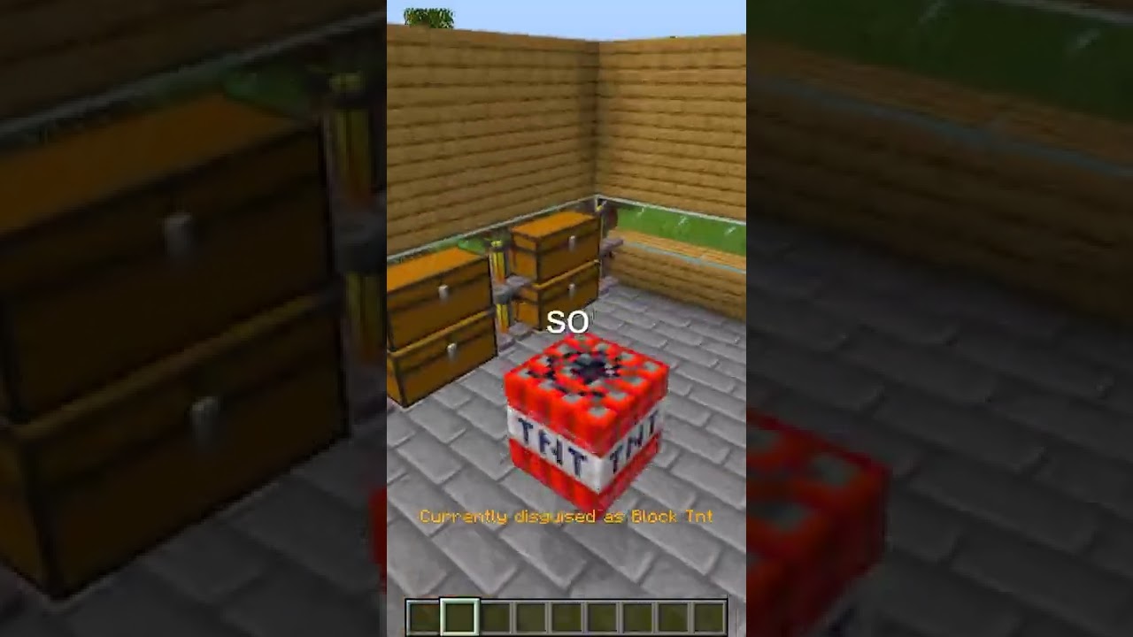 Disguising as TNT To Troll Minecraft Players