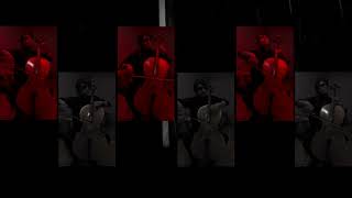 Video thumbnail of "Something In The Way - Nirvana / The Batman Main Theme - Cello Cover"