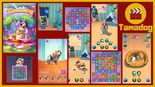 Tamadog Walkthrough - Acquaintance with a puppy (iOS) screenshot 2