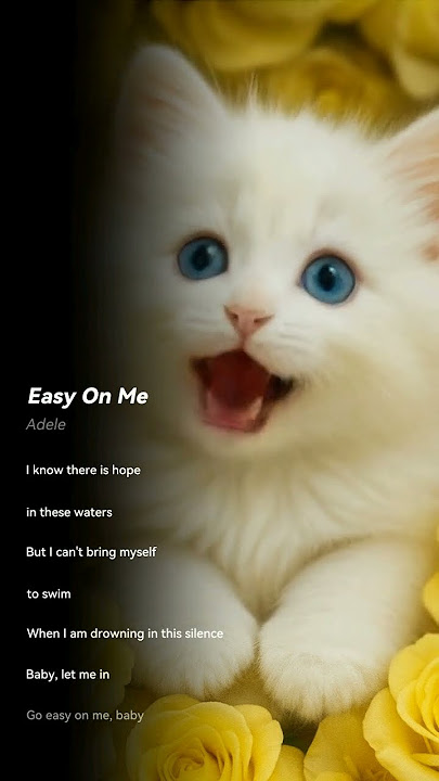 😺 Adorable Kitten Sings “Easy On Me” | Sweet & Emotional Baby Cat Version 💗🎶