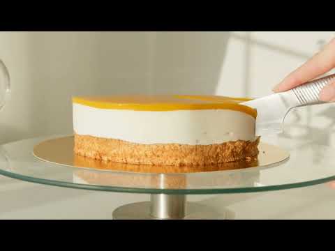 Biscoff Cheesecake Recipe Yogurt