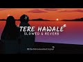 Tere hawaale  lofi slowed  reverb  arijit singh shilpa rao  the bhromonholic guy