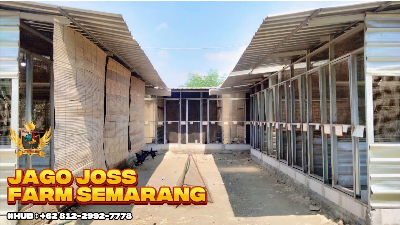 Review 4y4m Jenis KOY Di Jago Joss Farm Semarang