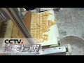 《我爱发明》 20180417 芋圆滚滚来 | CCTV科教