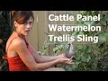 How to Make a Cattle Panel Watermelon Trellis Sling