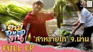 1 ปีมีครั้งเก็บ 'สาหร่ายไก' กลางแม่น้ำ จ.น่าน | ตามอำเภอจาน | 4 มี.ค.66 Full EP