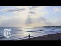 What to Do in Palm Beach, Florida | 36 Hours Travel Videos |  The New York Times