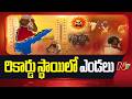 Heat Wave In Telugu States : తెలుగు రాష్ట్రాలపై భానుడి ప్రతాపం | NTV Telugu