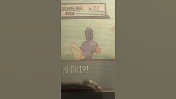 when you get the shiny mudkip after 10 resets