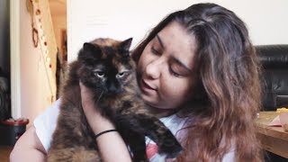 a bunch of words | Amelia May