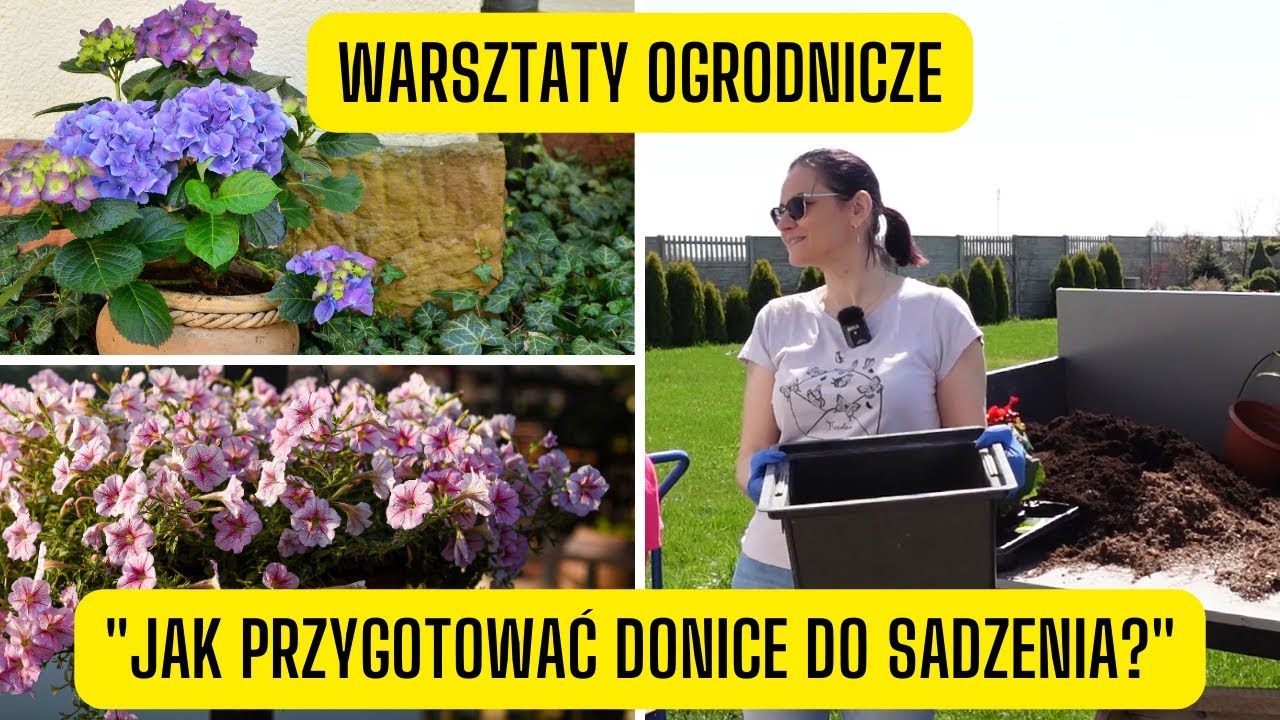 Kanny Rabata Warsztaty