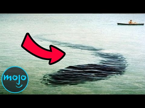 Top 10 Creepiest Sea Monster Sightings of All Time