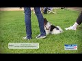 Brown Landscape Management Lawn & Landscape Experts "Ticks"