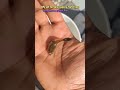 guppy fish breed name part 9 #fishshorts #guppyfish #fish #shortsfeed
