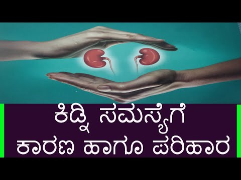 ಕಿಡ್ನಿ ಸಮಸ್ಯೆಗೆ ಕಾರಣ ಹಾಗೂ ಪರಿಹಾರ || ಕಿಡ್ನಿ ಸಮಸ್ಯೆಗಳು ಮತ್ತು ಪರಿಹಾರಗಳು? (ಕನ್ನಡ ಭಾಷೆಯಲ್ಲಿ)