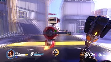 Bug Brigitte in practice range