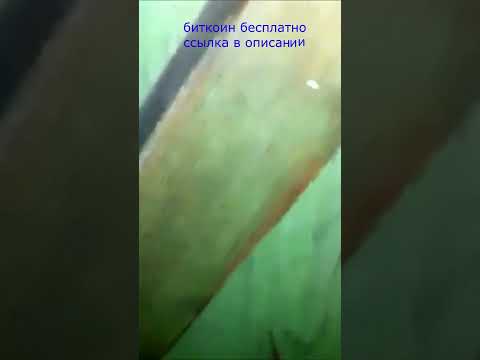 #смешныевидео приколы #приколыалкаши